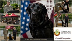 Earl, a black Labrador retriever
