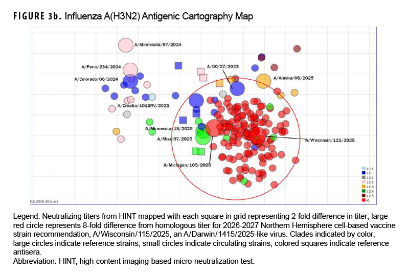 FIGURE 3b. Influenza A(H3N2) Antigenic Cartography Map This two-dimensional antigenic cartography scatter plot displays the antigenic positioning of circulating and reference influenza A(H3N2) viruses relative to reference antisera using micro-neutralization titers. On a grid where each unit represents a 2-fold difference in antibody titer, the predominant circulating subclade K viruses form a dense cluster centered within the 8-fold neutralization circle of the recommended 2026–2027 cell-based vaccine strain (A/Wisconsin/115/2025, an A/Darwin/1415/2025-like virus). This cluster is antigenically distinct and separated from the 2025–2026 vaccine components (A/Croatia/10136RV/2023 and A/District of Columbia/27/2023), confirming significant antigenic drift and validating the selection of the 2026–2027 strain.