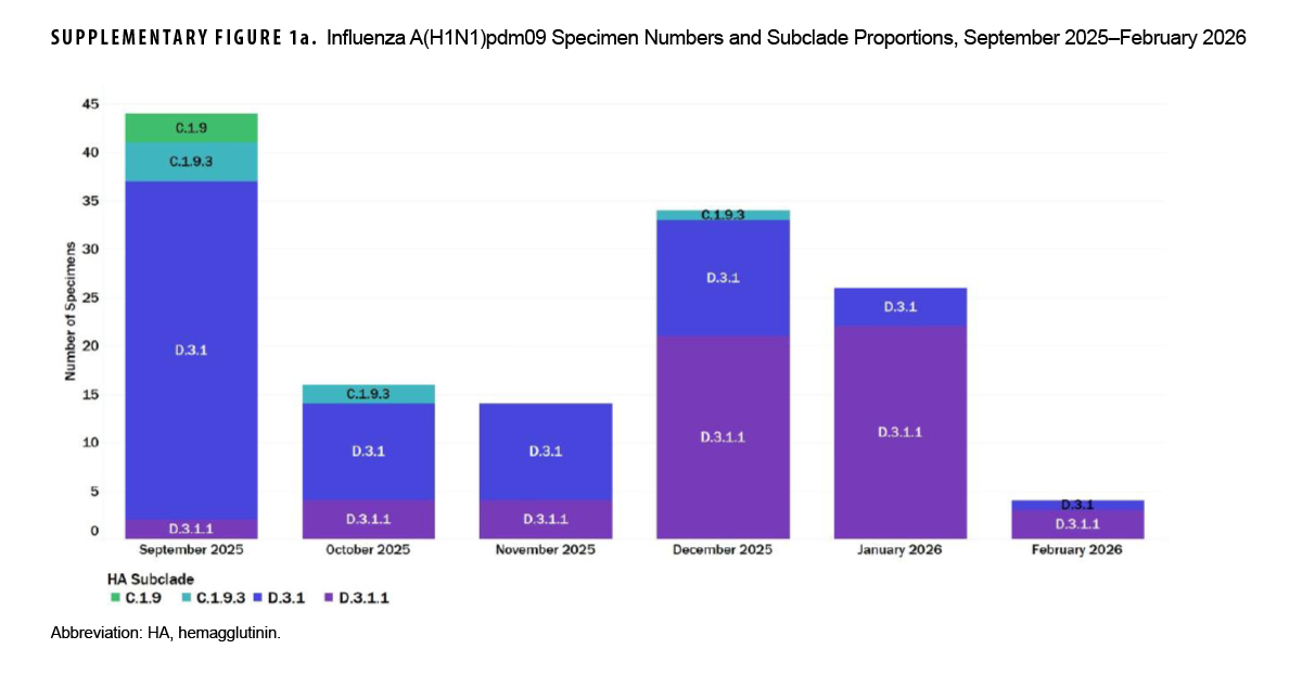 SUPPLEMENTARY FIGURE 1a. Influenza A(H1N1)pdm09 Specimen Numbers and Subclade Proportions, September 2025–February 2026 This stacked bar chart displays the monthly specimen volume and subclade proportions for influenza A(H1N1)pdm09 from September 2025 through February 2026. Monthly sample counts peaked in September 2025 (44 specimens) and December 2025 (34 specimens), before tapering to 26 in January 2026 and 4 in February 2026. Subclade diversity shifted over time: older subclades C.1.9 and C.1.9.3 constituted 7 of 44 specimens in September and 3 of 16 in October before disappearing entirely by November 2025. Subclade D.3.1 dominated early in the season (accounting for 37 of 44 specimens in September), while subclade D.3.1.1 expanded rapidly in the winter, making up 21 of 34 specimens in December 2025, 22 of 26 in January 2026, and 3 of 4 in February 2026.