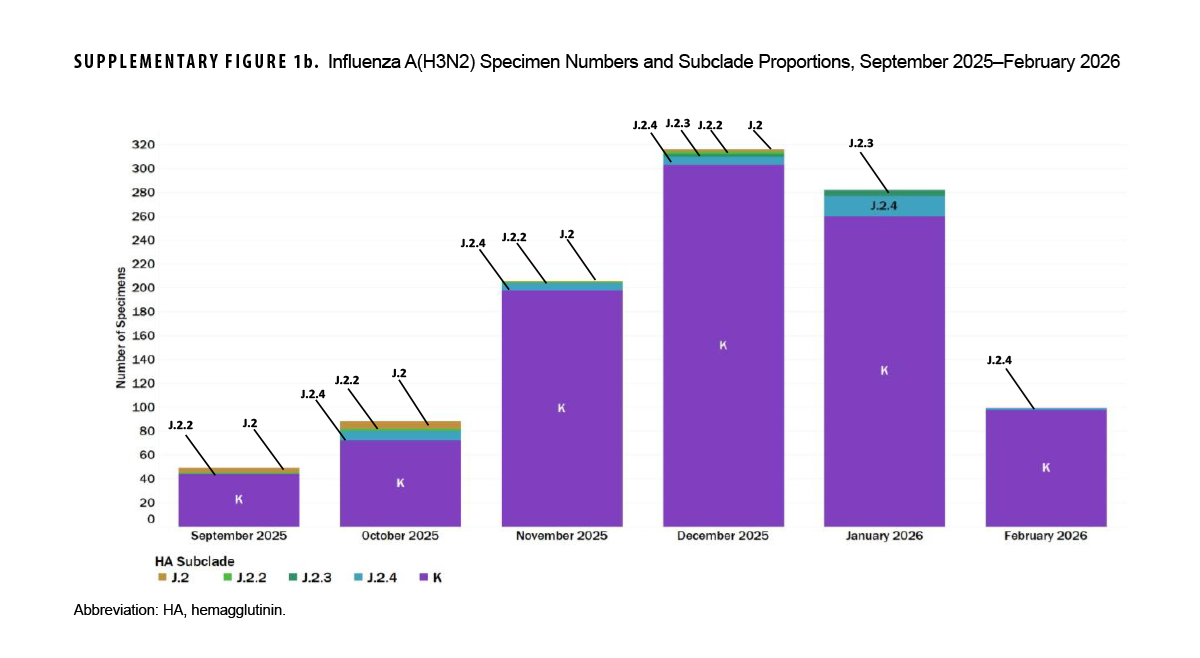 SUPPLEMENTARY FIGURE 1b. Influenza A(H3N2) Specimen Numbers and Subclade Proportions, September 2025–February 2026 This stacked bar chart illustrates the monthly specimen counts and subclade proportions for influenza A(H3N2) from September 2025 through February 2026. Total sequenced specimens rose from 48 in September and 90 in October to peak at 208 in November, 308 in December 2025, and 262 in January 2026, before decreasing to 98 in February 2026. Subclade K comprised the overwhelming majority of isolates across all months, expanding from 43 of 48 specimens (89.6%) in September to over 95% of specimens from November onward (including 299 of 308 in December and 250 of 262 in January), while subclades J.2, J.2.2, J.2.3, and J.2.4 consistently accounted for minor fractions.