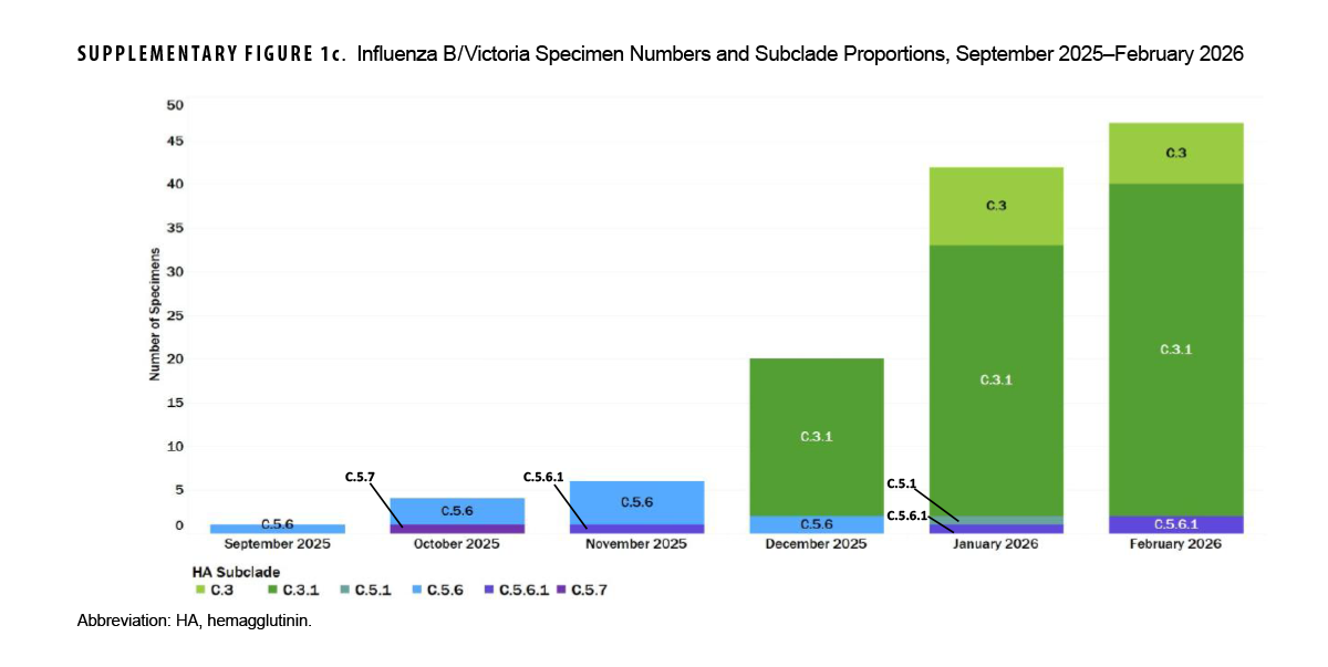 SUPPLEMENTARY FIGURE 1c. Influenza B/Victoria Specimen Numbers and Subclade Proportions, September 2025–February 2026 This stacked bar chart outlines monthly specimen numbers and subclade distributions for influenza B/Victoria between September 2025 and February 2026. Specimen volumes remained low during early autumn (2 in September, 6 in October, and 6 in November), before expanding substantially in December 2025 (18 specimens), January 2026 (41 specimens), and February 2026 (48 specimens). While early low-volume months exhibited lineage diversity across subclades C.5.6 and C.5.7, subclade C.3.1 became overwhelmingly predominant during peak circulation, representing 15 of 18 specimens in December 2025, 34 of 41 in January 2026, and 37 of 48 in February 2026, with subclade C.3 contributing 11 specimens in February.