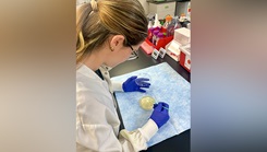 Alejandra Abramson was an intern for Naval Health Research Center’s (NHRC) Operational Infectious Diseases laboratory, where she executed experiments that analyzed human urine and experiments that led to the protein expression and purification of new target proteins that were analyzed.