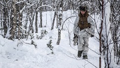 Military personnel walking in the snow in a forest