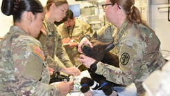 As hurricane-force winds and torrential rains subsided during a simulated exercise this week, the U.S. Army Veterinary Readiness Activity Fort Bragg faced a worst-case scenario: a total power outage at their Role 3 Veterinary Treatment Facility and a Military Working Dog in critical condition.