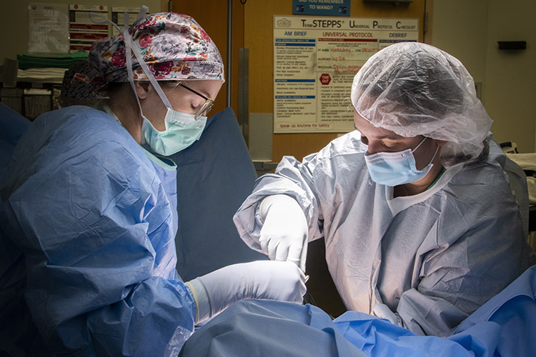 Image of Photo2_ToC_Endometriosis_7048784.