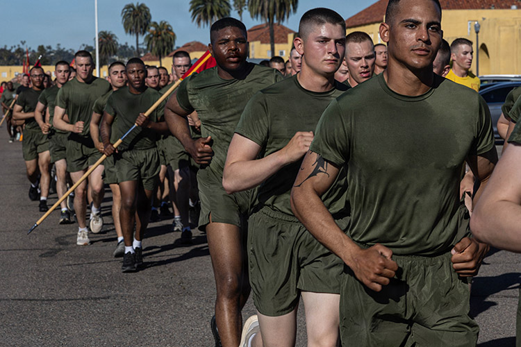 Image of Photo3_ToC_Snapshotmidyearpopulations_7048784.