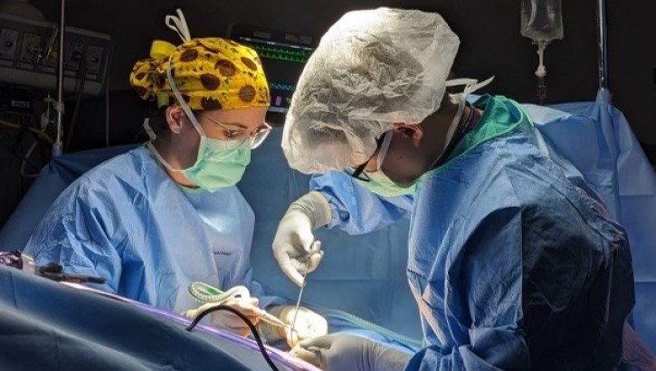 General surgery residents working together in the operating room.