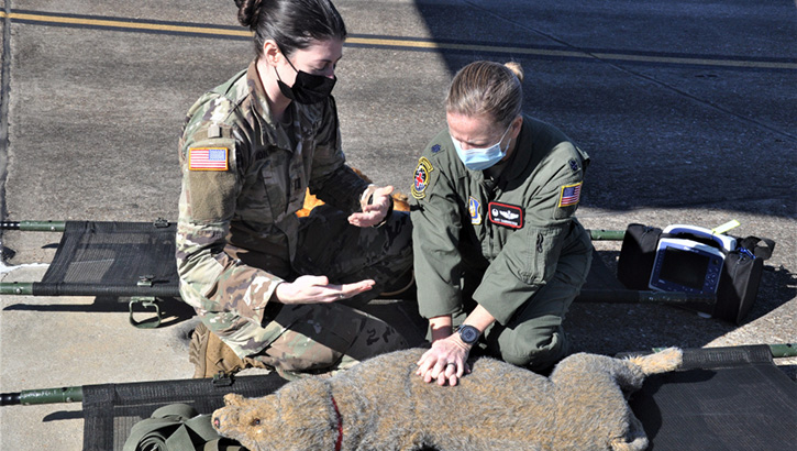 Image of Army Capt. Gabrielle Montone, Ft. Benning, Georgia, Veterinary Clinic intern, instructs 908th Airlift Wing Aeromedical Evacuation Squadron Commander Lt. Col. Amy Sanderson in canine CPR techniques at Maxwell Air Force Base, Alabama, March 7, 2021. Montone and her team conducted canine-specific medical training designed to prepare 908 AES members to provide proper care to Military Working Dogs who are injured in the line of duty. Montone is using a training mannequin.