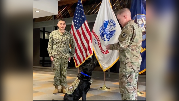 Link to Video: The Uniformed Services University of the Health Sciences (USU) facility dog program recently expanded with the addition of an enthusiastic two-year-old Labrador retriever named Grover. Grover officially reported for duty at USU during an enlistment ceremony on campus Feb. 28, where he was made an Army sergeant and combat medic in honor of the role and contributions of enlisted personnel at the university. 