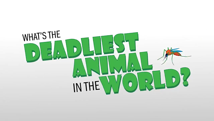 The Deadliest Animal In the World