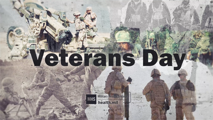 Link to Veterans Day