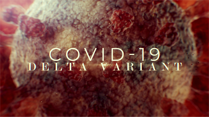 COVID-19 Delta war infographic