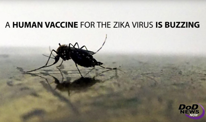 Link to A human vaccine for the Zika virus may be coming soon